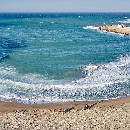 פנורמוס מיקונוס Superior Beachfront Apartment 1 With View To The Aegean Sea מראה חיצוני תמונה